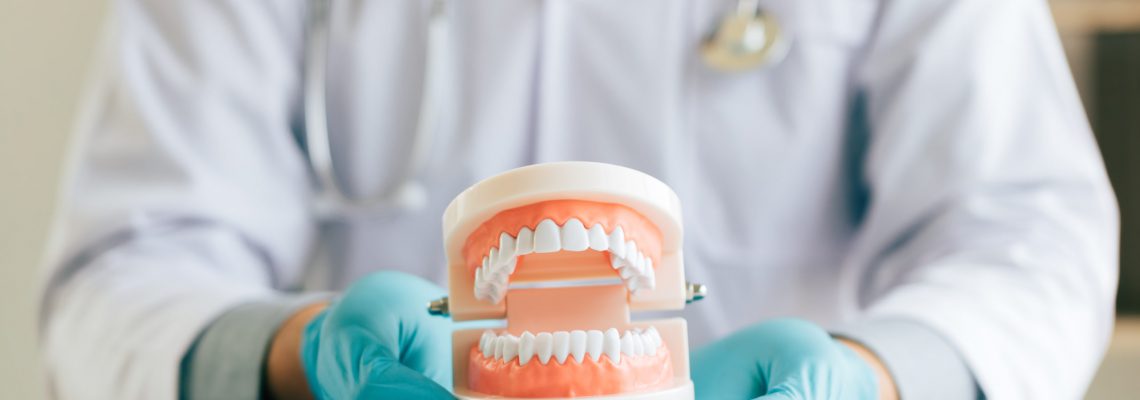 Dentist holding dentures in office room.