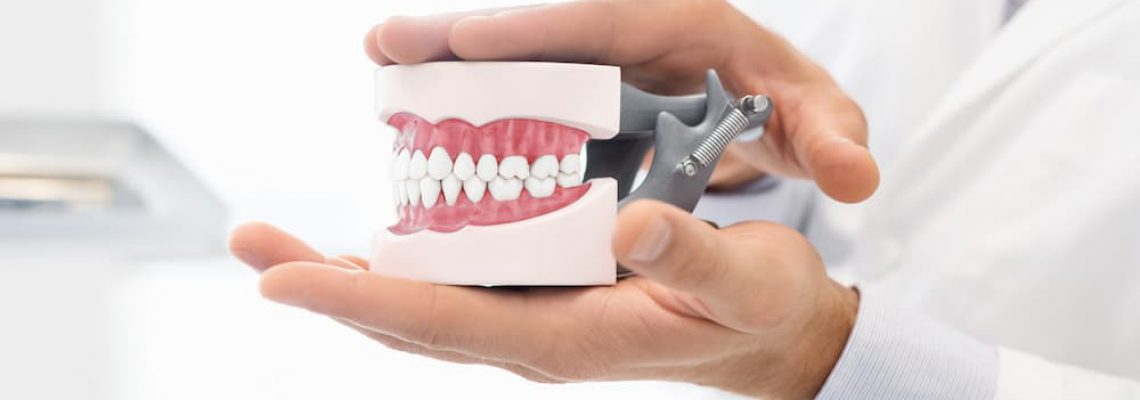 hands-of-dentist-holding-plastic-jaw-model-ABGMSFV (1)